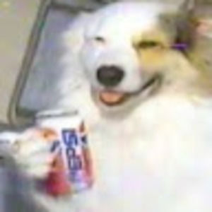 Meet your Posher, Rob